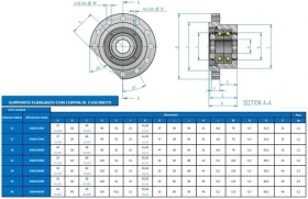Tabella supporti con coppia - Componenti meccanici ad alte prestazioni